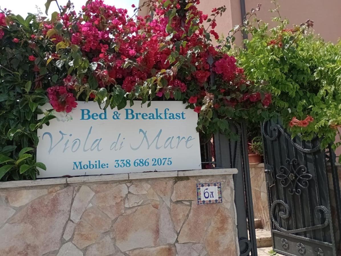 Viola Di Mare Rooms And Parking Termoli Bagian luar foto